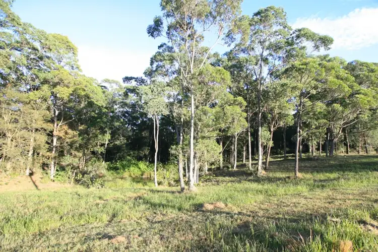 Second view of Homely land listing, LOT Lot 10, 607 Duns Creek Road (Botanic Ridge Estate), Duns Creek NSW 2321
