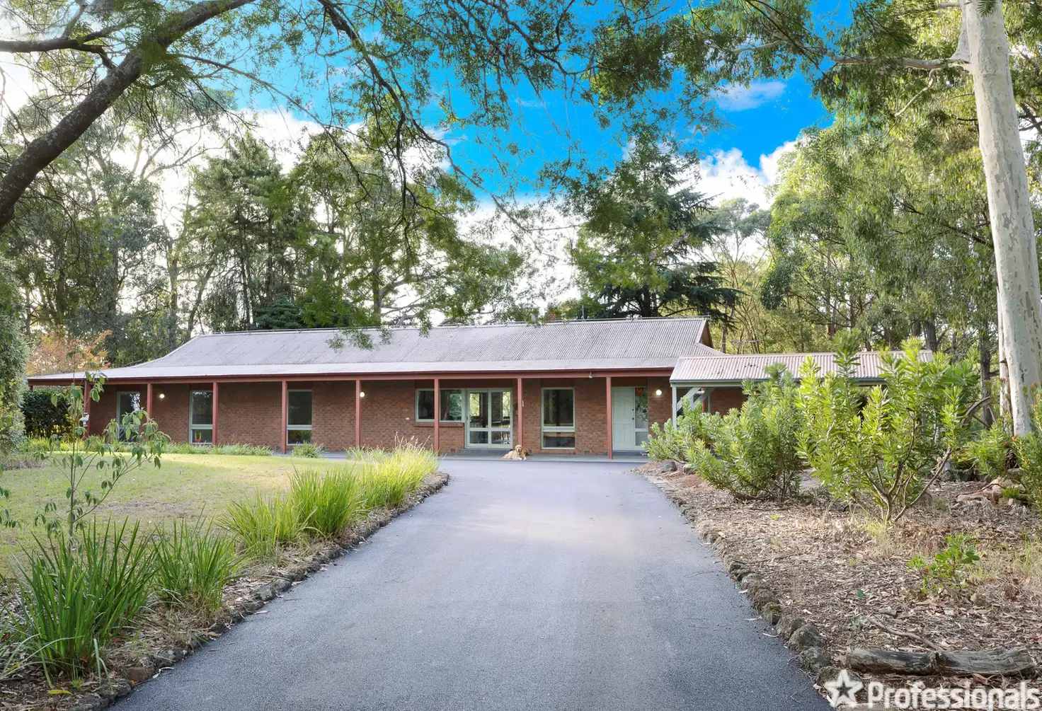 Main view of Homely house listing, 10 Falls Road, Hoddles Creek VIC 3139
