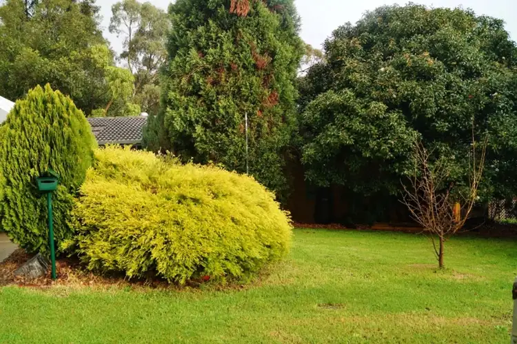 Main view of Homely house listing, 17 Milperra Avenue, Banksia Park SA 5091