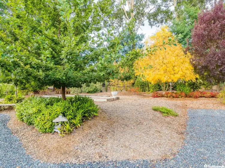 Third view of Homely house listing, 975 Maroondah Highway, Narbethong VIC 3778