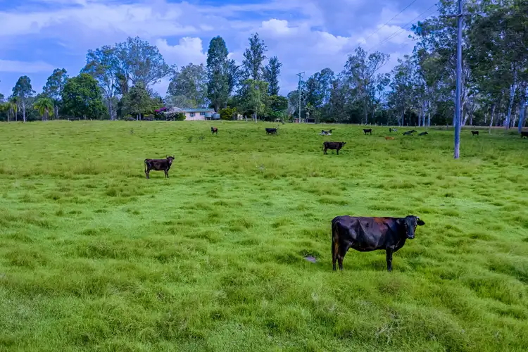 Fourth view of Homely rural property listing, 1320 Old Bruce Highway, Kybong QLD 4570