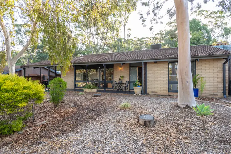23 Catharina Street, Flagstaff Hill SA 5159