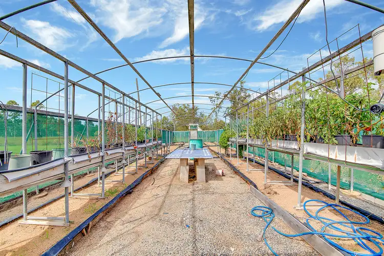 Fifth view of Homely rural property listing, 111 Coorooman Creek Road, Cawarral QLD 4702