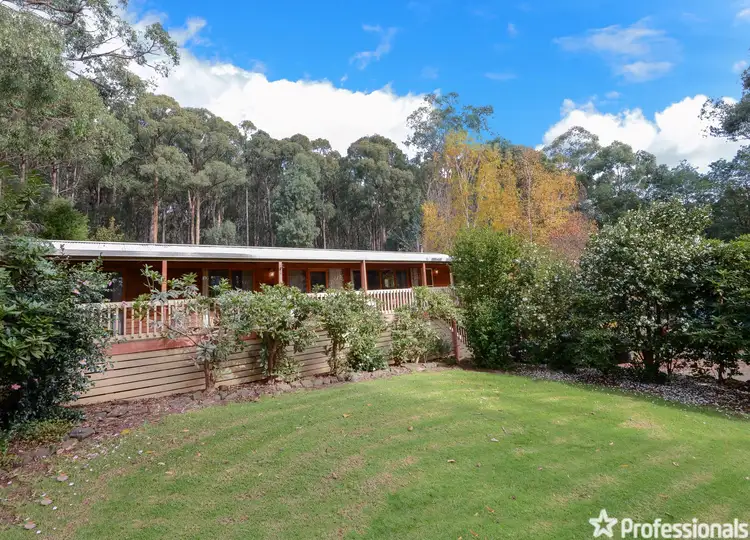 56 Big Pats Creek Road, East Warburton VIC 3799