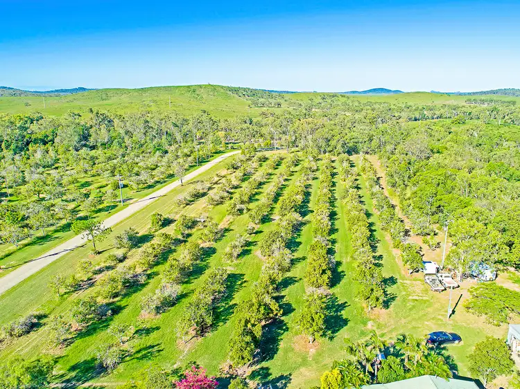 Main view of Homely house listing, 74 Macaree Road, Coorooman QLD 4702