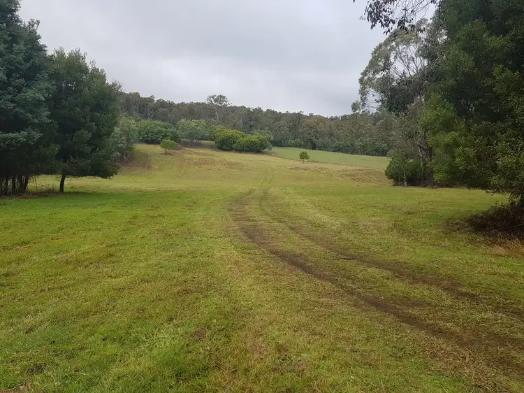 Second view of Homely rural property listing, 1409 Maroondah Highway, Narbethong VIC 3778