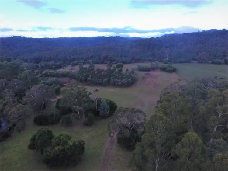 Third view of Homely rural property listing, 1409 Maroondah Highway, Narbethong VIC 3778
