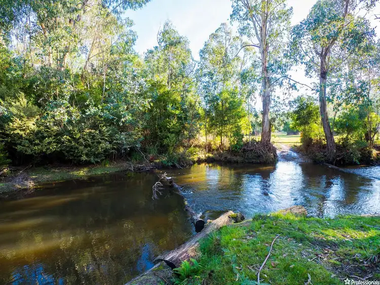 Fourth view of Homely rural property listing, 1409 Maroondah Highway, Narbethong VIC 3778
