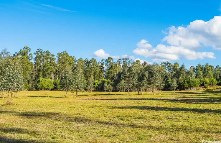 Sixth view of Homely rural property listing, 1409 Maroondah Highway, Narbethong VIC 3778