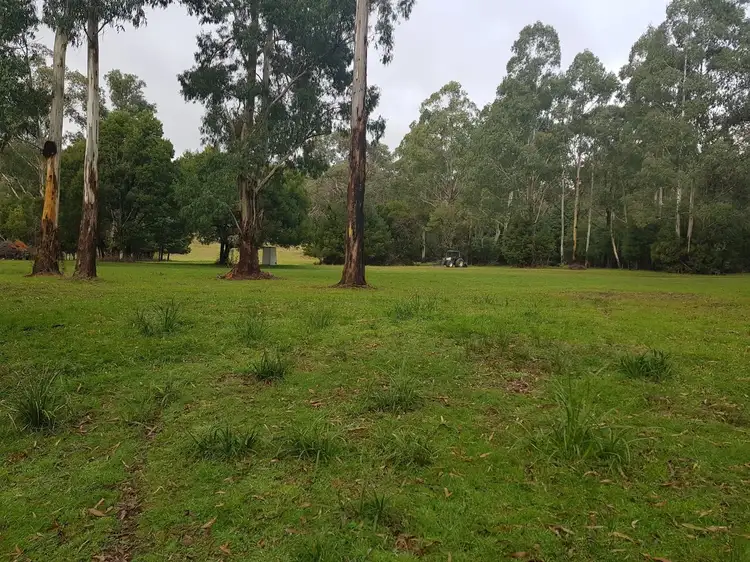 Seventh view of Homely rural property listing, 1409 Maroondah Highway, Narbethong VIC 3778