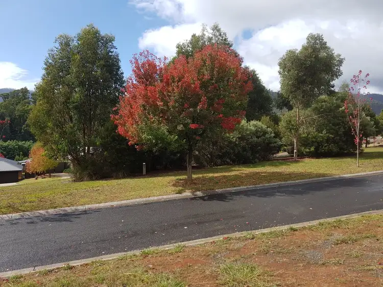 12 Gould Terrace, Marysville VIC 3779