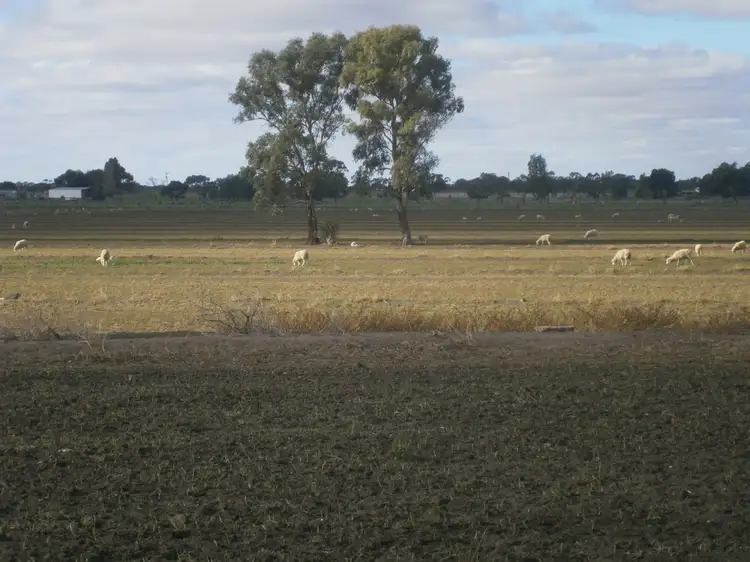 Second view of Homely land listing, LOT Lot, 1 Lake Baker Road, Lake Boga VIC 3584
