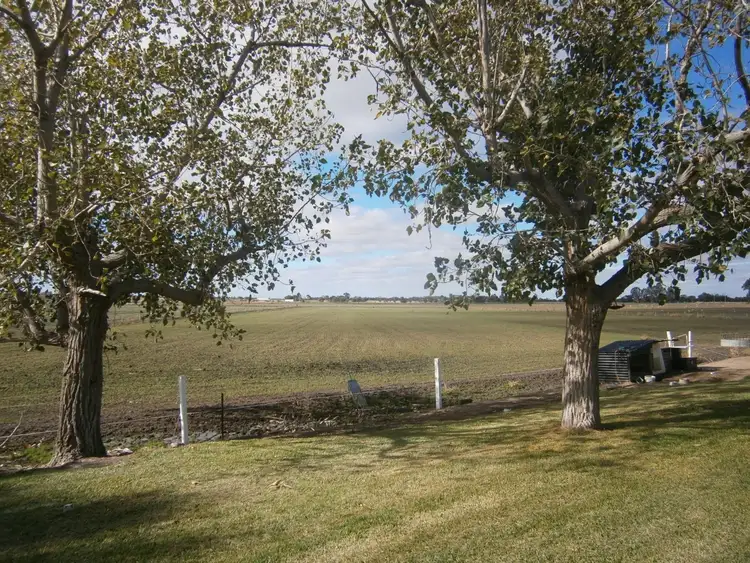 Second view of Homely rural property listing, 4658 Murray Valley Highway, Lake Boga VIC 3584