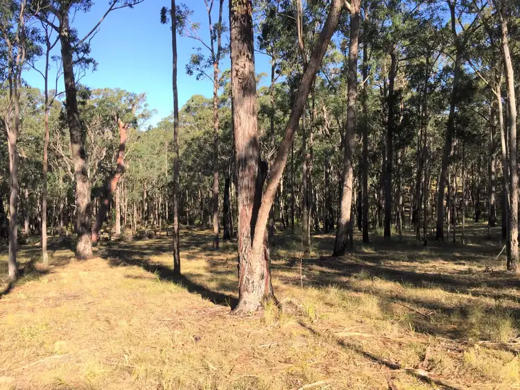 Third view of Homely rural property listing, 53 Squires Hill Road, Boolambayte NSW 2423