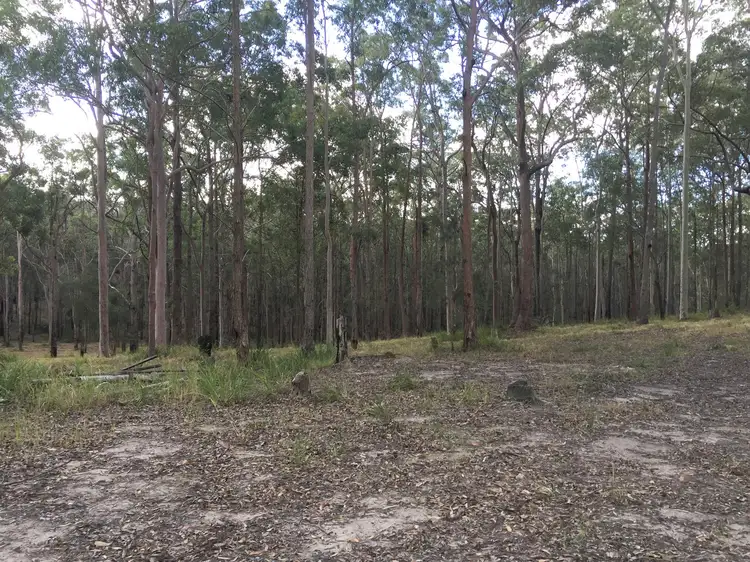 Fourth view of Homely rural property listing, 53 Squires Hill Road, Boolambayte NSW 2423
