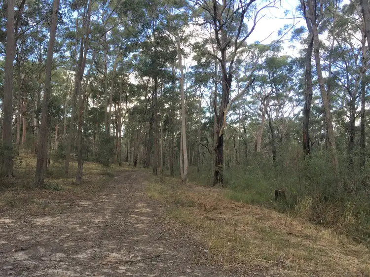 Fifth view of Homely rural property listing, 53 Squires Hill Road, Boolambayte NSW 2423