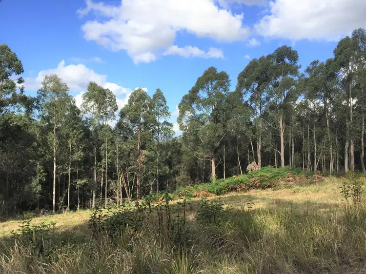 Sixth view of Homely rural property listing, 53 Squires Hill Road, Boolambayte NSW 2423