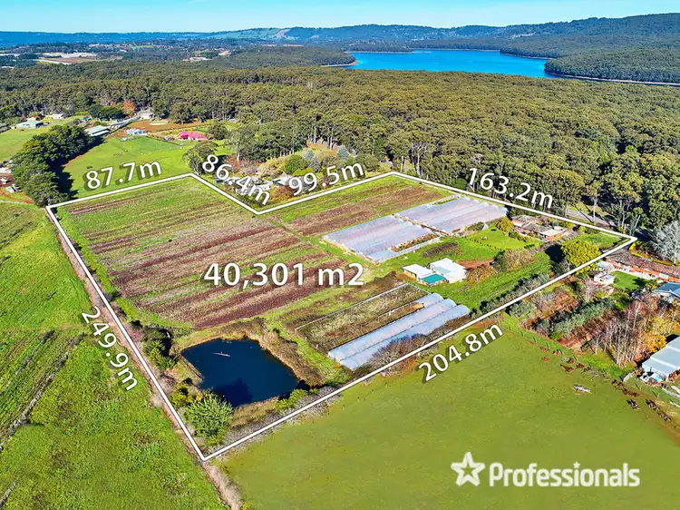 Main view of Homely house listing, 279 Monbulk Road, Silvan VIC 3795