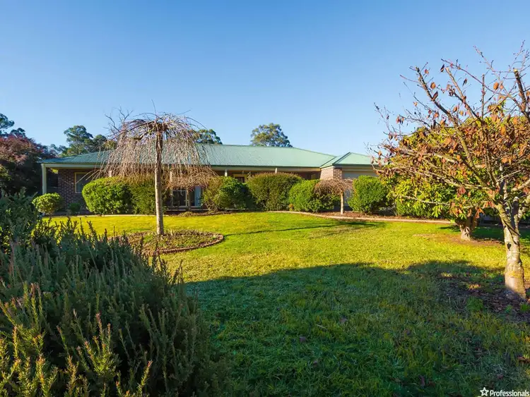 Fourth view of Homely house listing, 38 Tarnpirr Road, Narbethong VIC 3778