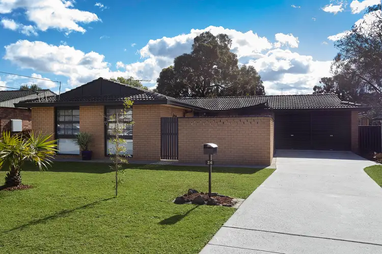 Main view of Homely house listing, 36 Archibald Street, Padstow NSW 2211