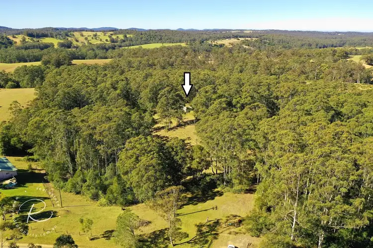 Second view of Homely rural property listing, 221 Newmans Road, Wootton NSW 2423