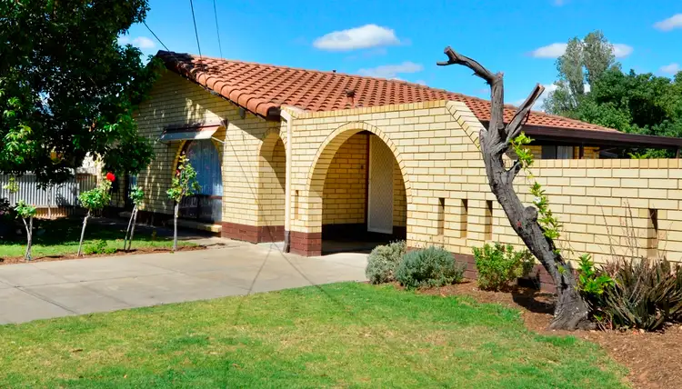 39 McArthur Avenue, Plympton SA 5038