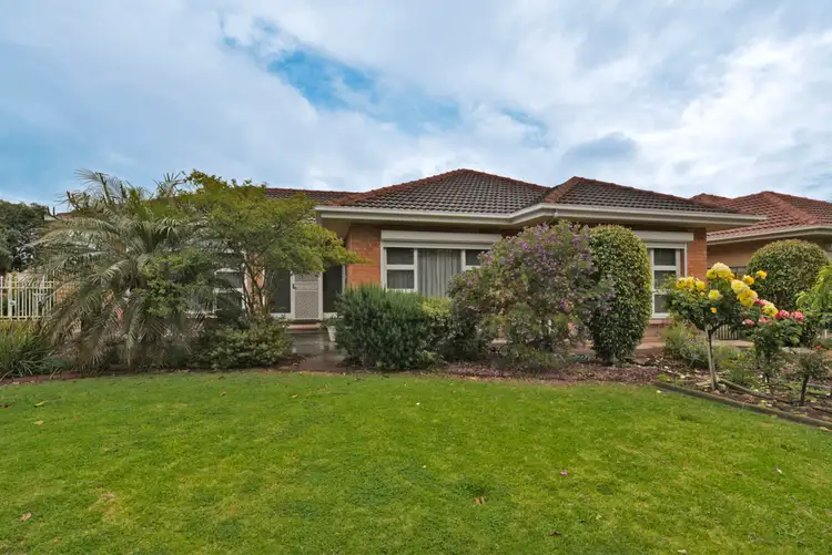 44 Beare Avenue, Netley SA 5037