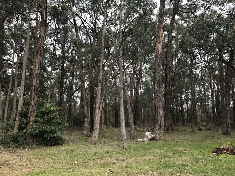 Third view of Homely rural property listing, 2450 Monash Way, Boolarra VIC 3870