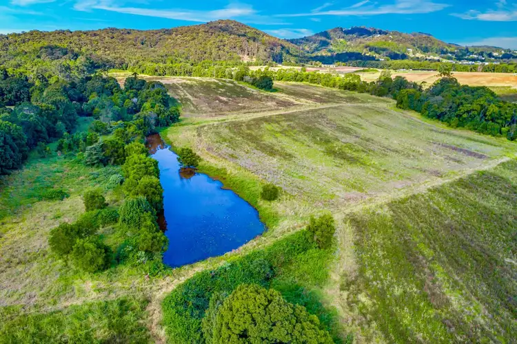 Fifth view of Homely rural property listing, 136 North Arm Yandina Creek Road, North Arm QLD 4561