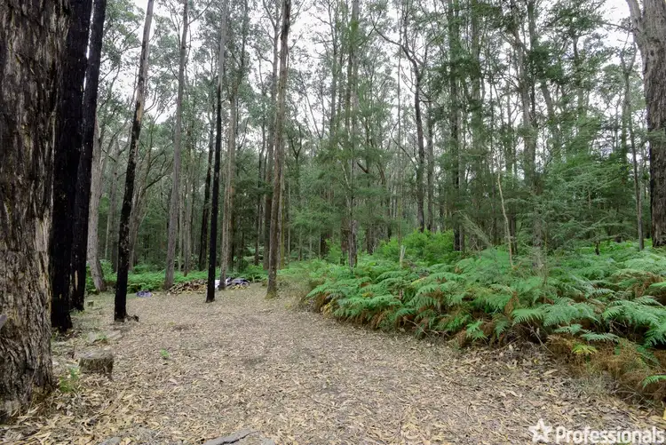 Third view of Homely land listing, 21 Lyrebird Avenue, East Warburton VIC 3799