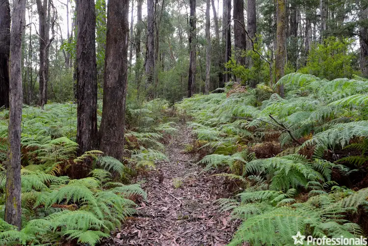 Fifth view of Homely land listing, 21 Lyrebird Avenue, East Warburton VIC 3799
