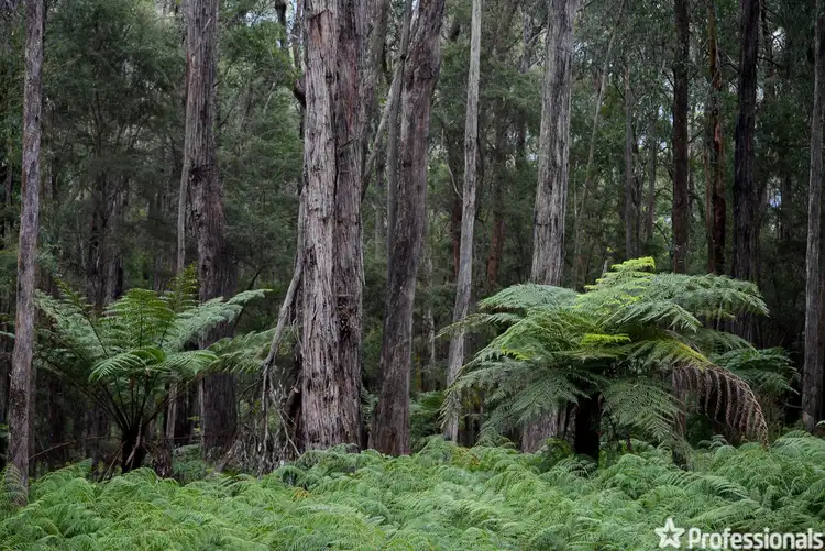 Seventh view of Homely land listing, 21 Lyrebird Avenue, East Warburton VIC 3799