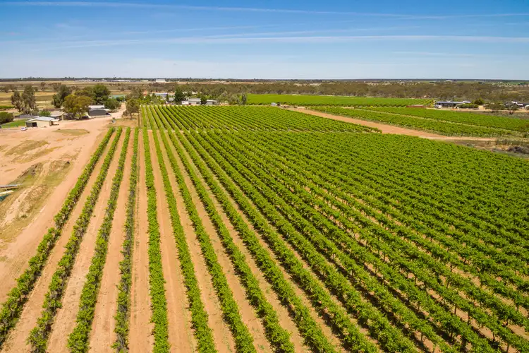 Second view of Homely rural property listing, Lot/2 & 3 Dow Avenue, Cabarita VIC 3505