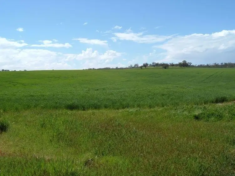 Second view of Homely land listing, "Ippinichie", Main Road, Wirrabara SA 5481