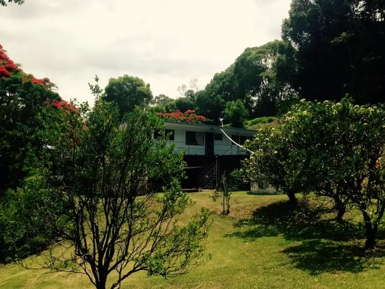 Second view of Homely rural property listing, 2429 Coolamon Scenic Drive, Mullumbimby NSW 2482