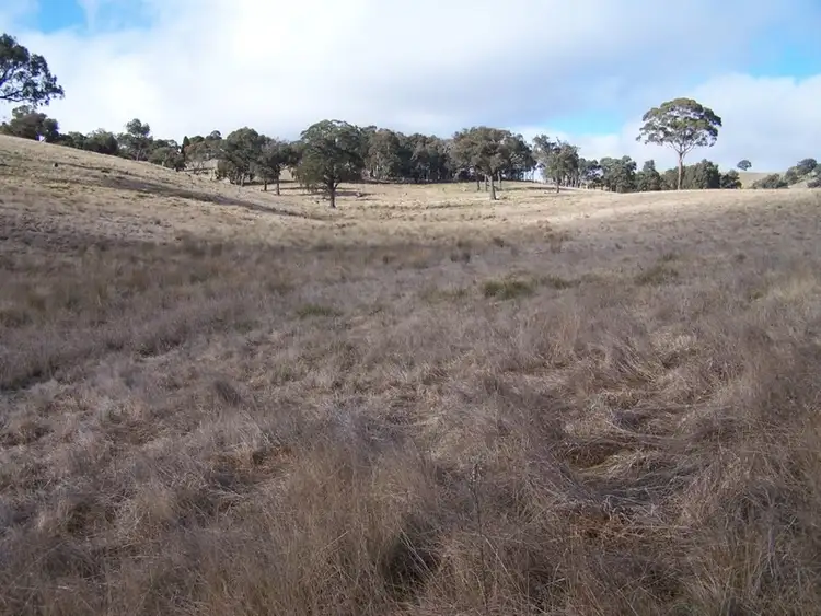 Fifth view of Homely rural property listing, 1252 Kangaloolah Road, Binda NSW 2583