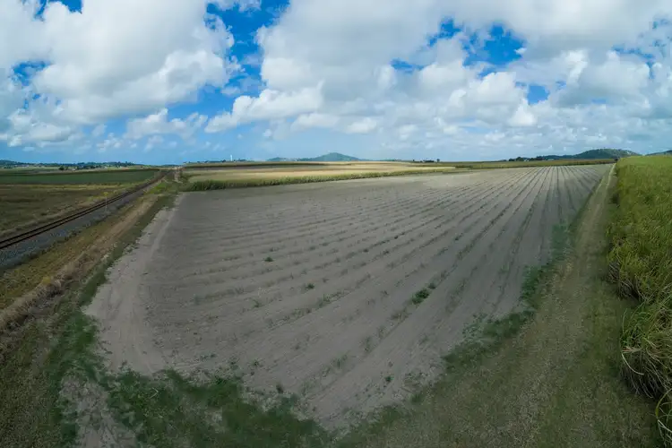 Second view of Homely rural property listing, 1102 Bruce Highway, Farleigh QLD 4741