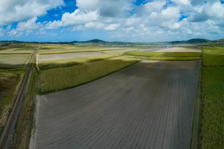 Third view of Homely rural property listing, 1102 Bruce Highway, Farleigh QLD 4741