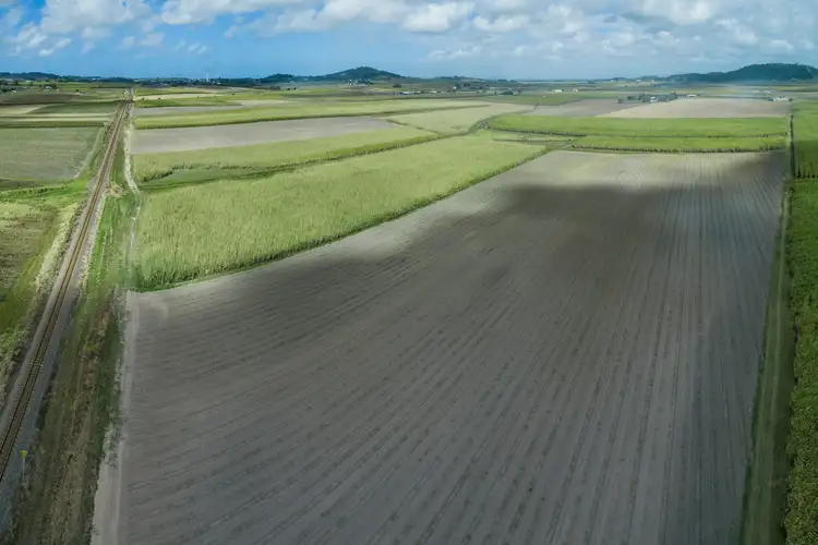 Fourth view of Homely rural property listing, 1102 Bruce Highway, Farleigh QLD 4741