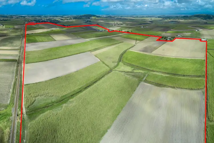 Fifth view of Homely rural property listing, 1102 Bruce Highway, Farleigh QLD 4741