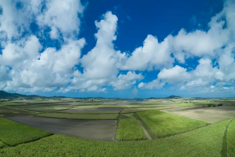 Sixth view of Homely rural property listing, 1102 Bruce Highway, Farleigh QLD 4741