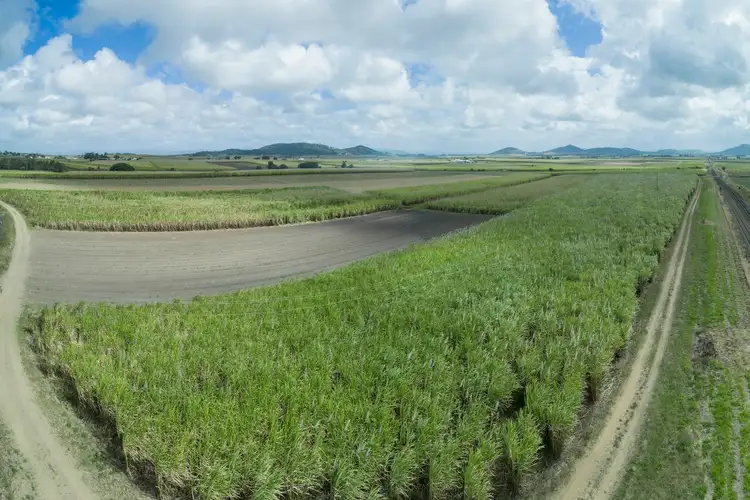 Seventh view of Homely rural property listing, 1102 Bruce Highway, Farleigh QLD 4741