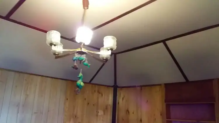 Third view of Homely house listing, 42 Princes Highway, Cobargo NSW 2550