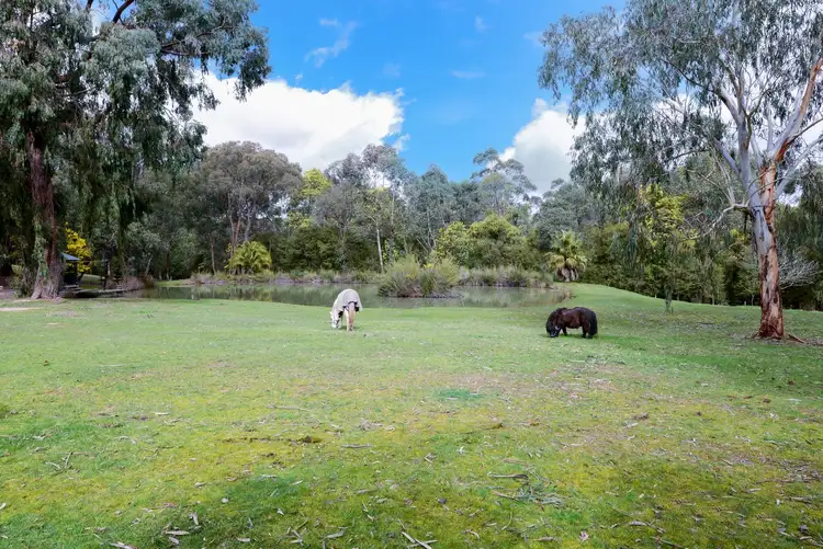 Fifth view of Homely house listing, 80 Parkinsons Road, Launching Place VIC 3139