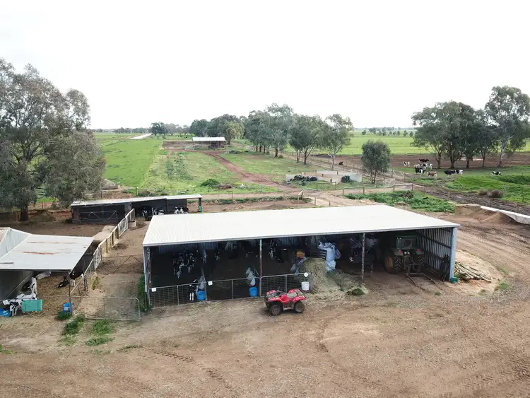 Second view of Homely rural property listing, 239 Waaia-Bearii Road, Waaia VIC 3637