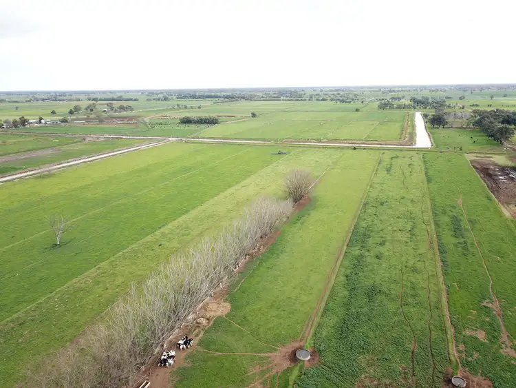 Fourth view of Homely rural property listing, 239 Waaia-Bearii Road, Waaia VIC 3637