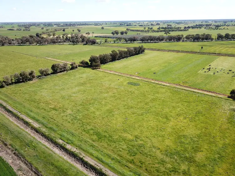 Fifth view of Homely rural property listing, Address available on request