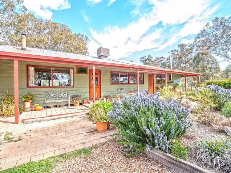 Main view of Homely rural property listing, 2959 Goulburn Valley Highway, Numurkah VIC 3636