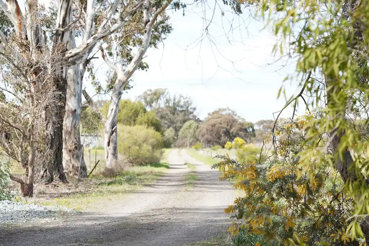 Third view of Homely rural property listing, 2959 Goulburn Valley Highway, Numurkah VIC 3636