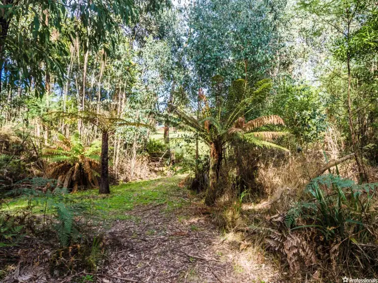 77 Falls Road, Marysville VIC 3779
